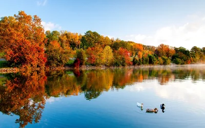 Fall Preparation